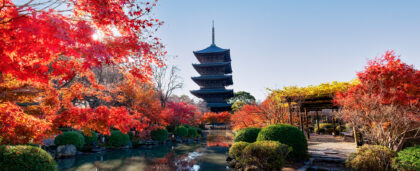 Япония открывает визовые центры в России